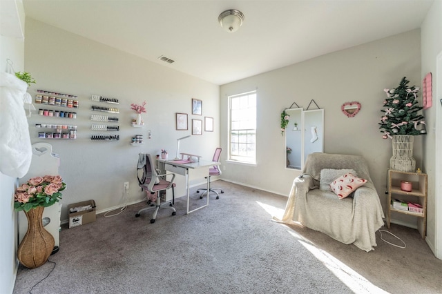 view of carpeted home office