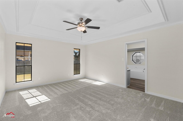 interior space with carpet flooring, a tray ceiling, ceiling fan, and ornamental molding