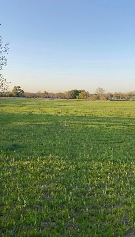 LOT11 County Road 3420, Bridgeport, TX 76426