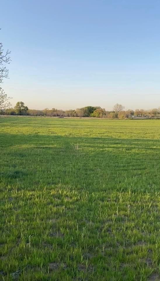 LOT11 County Road 3420, Bridgeport TX, 76426 land for sale