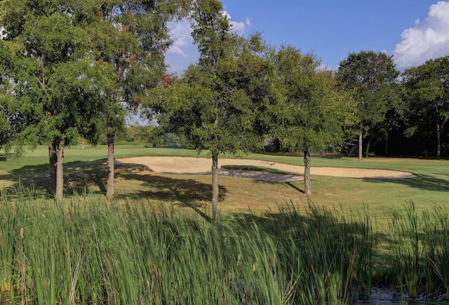 view of property's community featuring a lawn