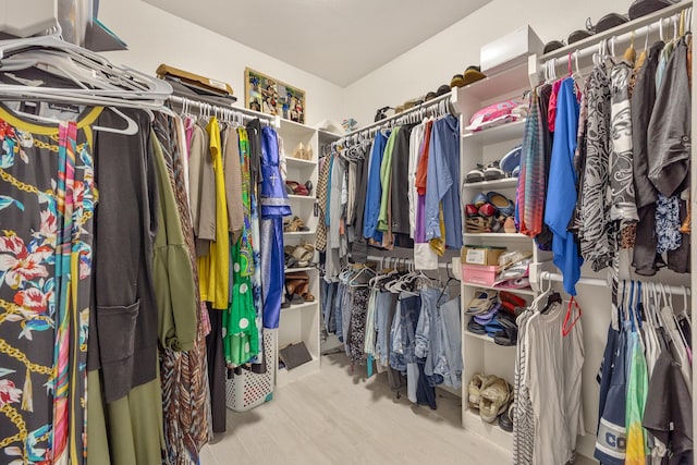 walk in closet with light wood-type flooring