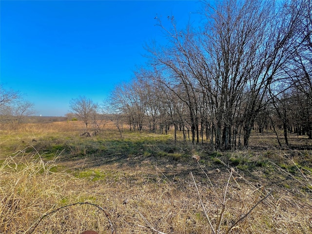 view of nature featuring a rural view