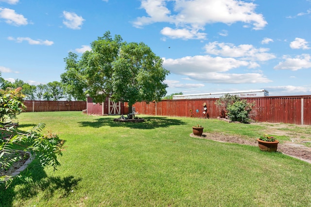 view of yard featuring a shed