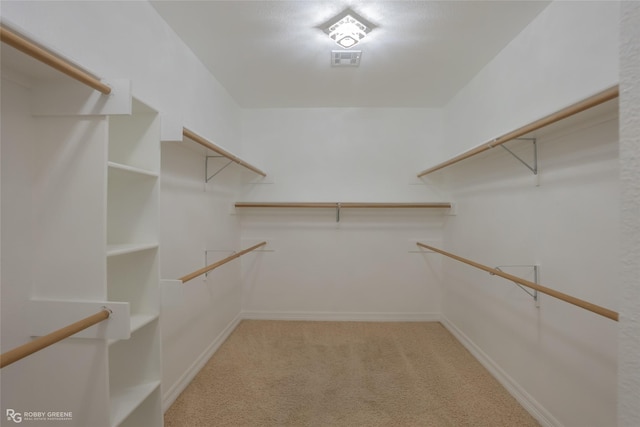 spacious closet with light carpet