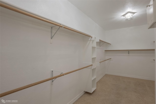 spacious closet featuring light carpet