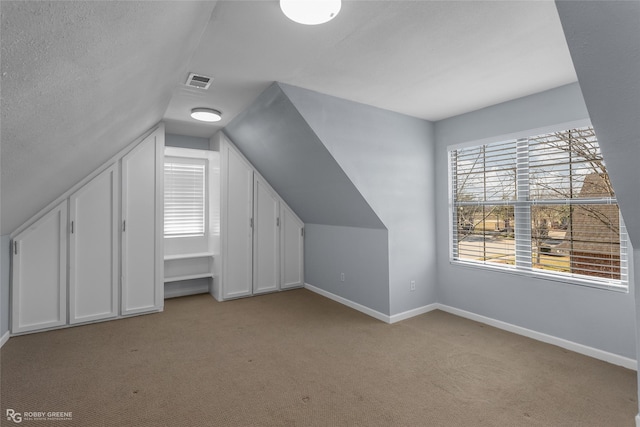 additional living space featuring vaulted ceiling, light colored carpet, and a textured ceiling