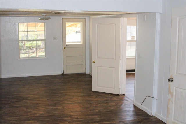 entrance foyer featuring dark hardwood / wood-style flooring