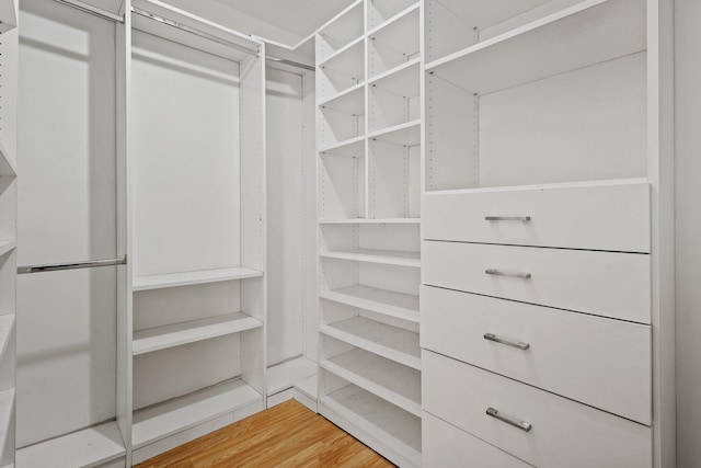 spacious closet with hardwood / wood-style flooring