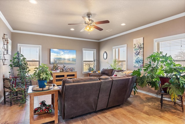 living room with ceiling fan, light hardwood / wood-style flooring, a textured ceiling, and ornamental molding