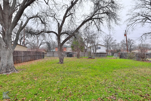 view of yard