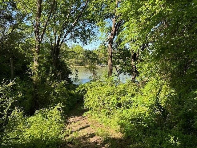 view of nature with a water view