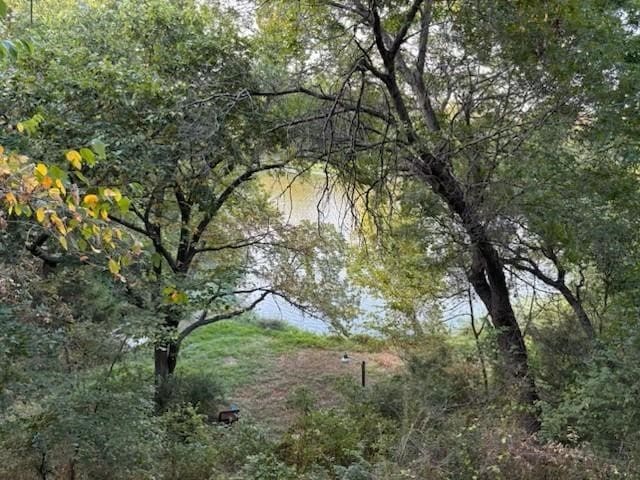 view of local wilderness featuring a water view