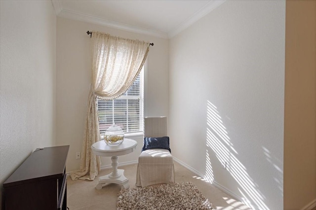 sitting room with crown molding and carpet flooring