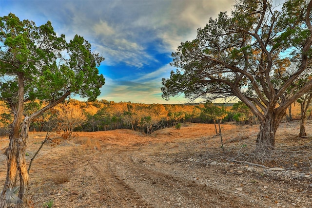 35ACRES County Road 322, Tuscola TX, 79562 land for sale