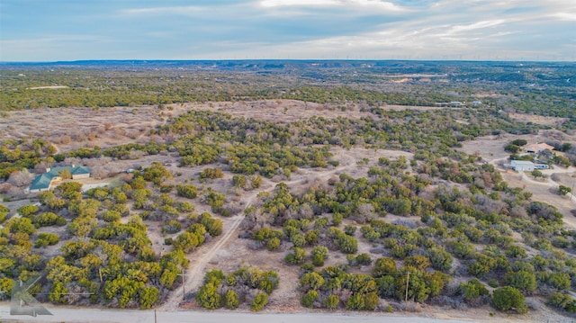 Listing photo 3 for 35ACRES County Road 322, Tuscola TX 79562