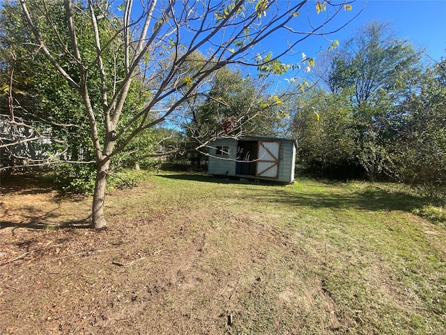 view of yard with a storage shed