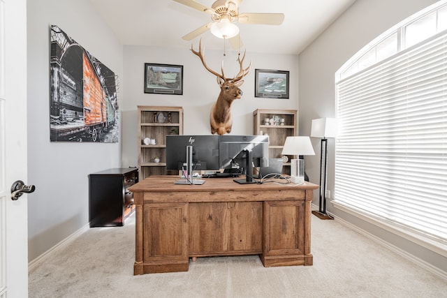 home office with plenty of natural light, ceiling fan, and light colored carpet