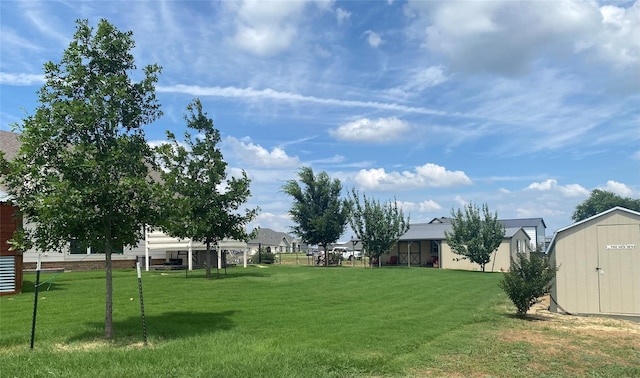 view of yard with a storage unit