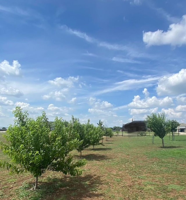 view of yard with a rural view