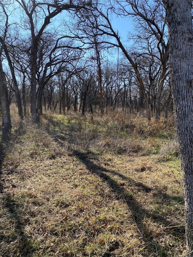 115 Banjo, Alvord TX, 76225 land for sale