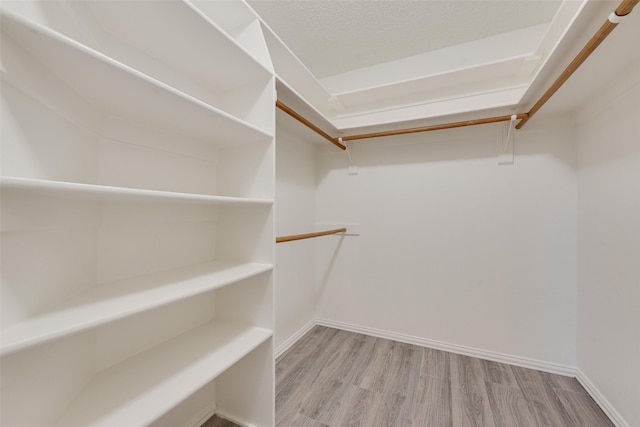 walk in closet featuring light wood-type flooring