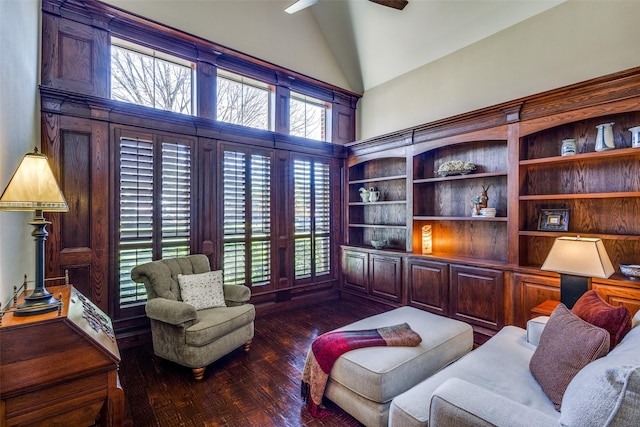 interior space featuring a wealth of natural light, high vaulted ceiling, and dark wood-type flooring