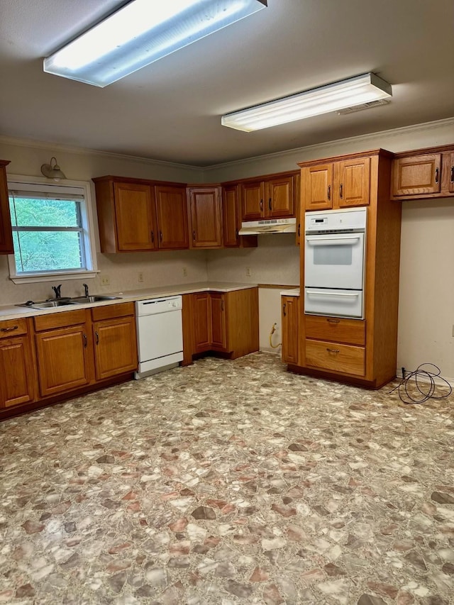 kitchen featuring crown molding, sink, and white appliances