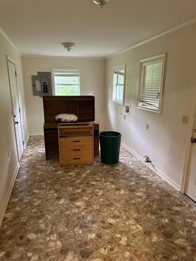 miscellaneous room with crown molding and plenty of natural light