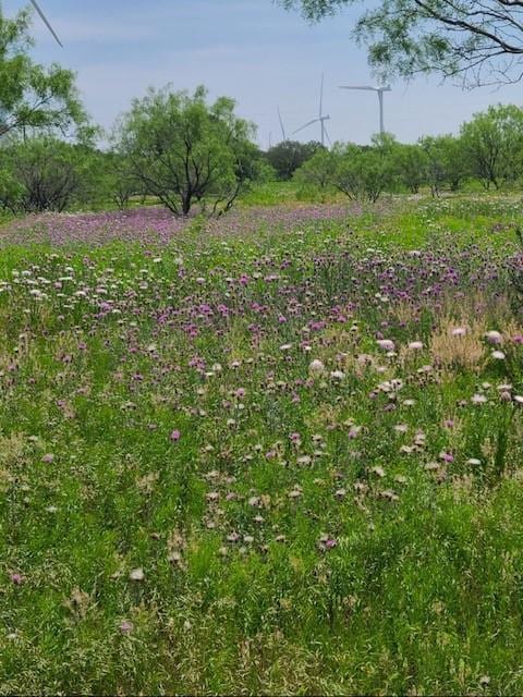 TBD County Road 423, Cisco TX, 76437 land for sale