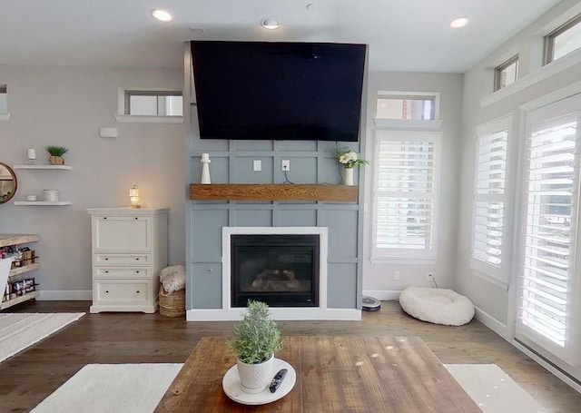 living room featuring hardwood / wood-style floors