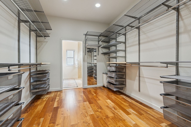 walk in closet with hardwood / wood-style flooring