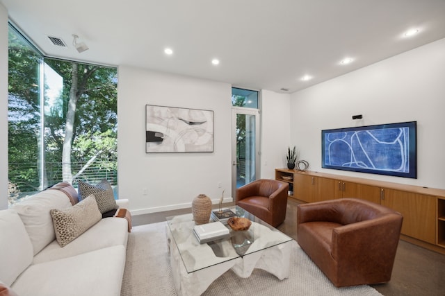 living room featuring a wealth of natural light and a wall of windows