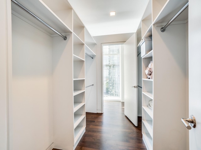 spacious closet featuring dark wood-type flooring