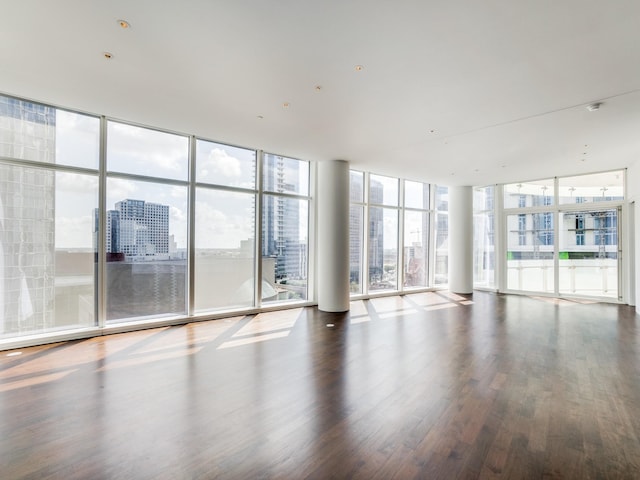 spare room with expansive windows, a healthy amount of sunlight, and hardwood / wood-style flooring