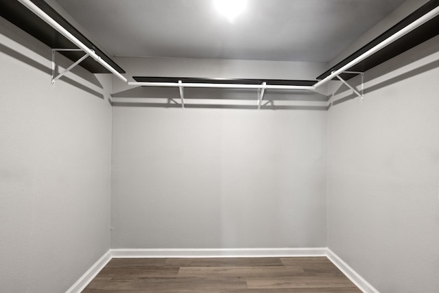 spacious closet with wood-type flooring