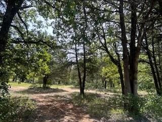 view of local wilderness