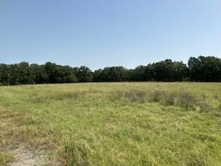 view of local wilderness with a rural view