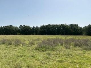 view of local wilderness with a rural view