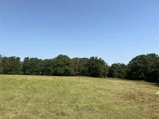 view of local wilderness featuring a rural view