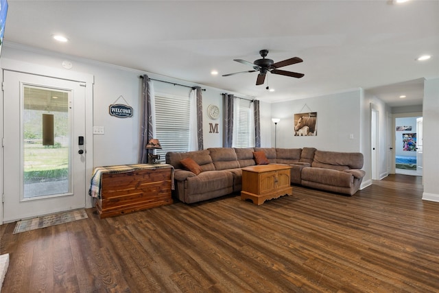 living room with dark hardwood / wood-style floors, ceiling fan, and ornamental molding