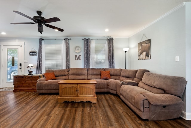 living room featuring ceiling fan, dark hardwood / wood-style floors, and crown molding