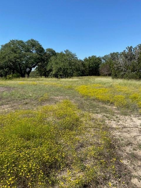 TBD Cr 4195, Clifton TX, 76634 land for sale