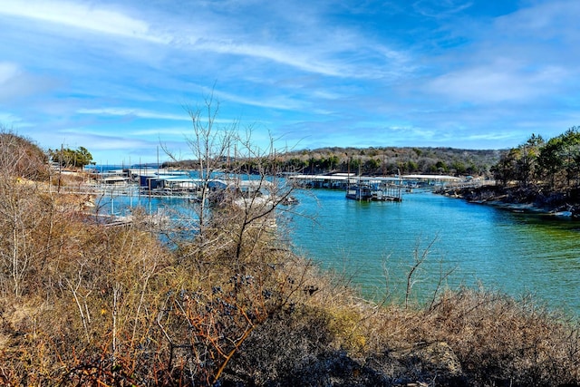 property view of water featuring a boat dock