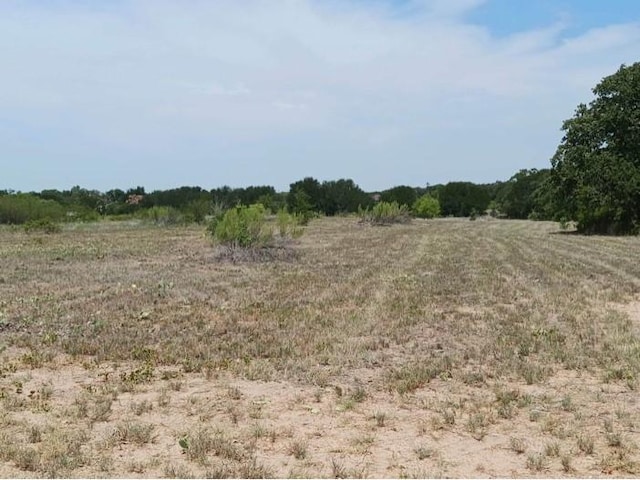 1844 County Road 488, Ranger TX, 76470 land for sale