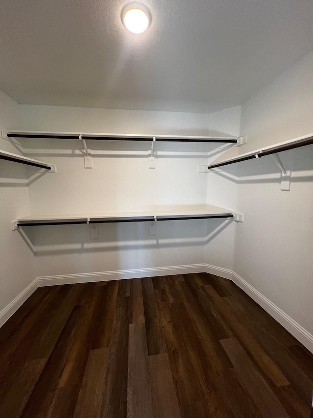 spacious closet featuring dark hardwood / wood-style floors