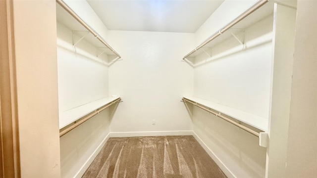 1505 Cross Oaks Ct, Graham, TX 76450 - spacious closet featuring carpet flooring