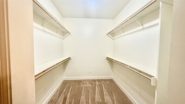 spacious closet with dark carpet