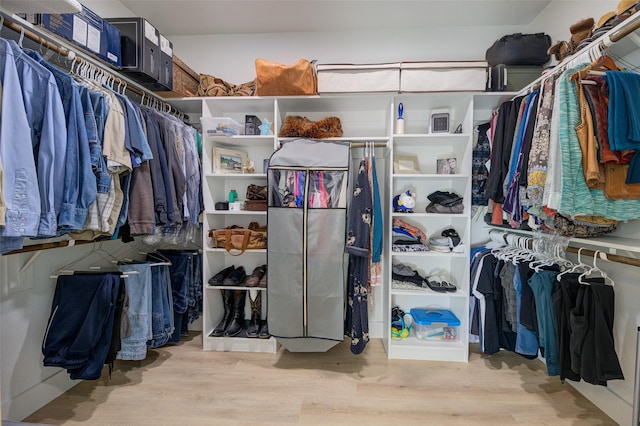 spacious closet with light hardwood / wood-style flooring