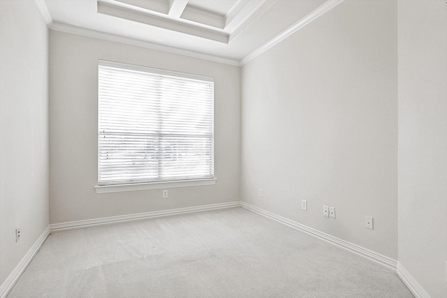 carpeted empty room with a raised ceiling and crown molding